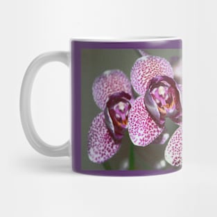 Glass Orchid Mug